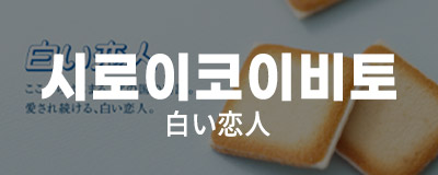 소배너_시로이코비토 