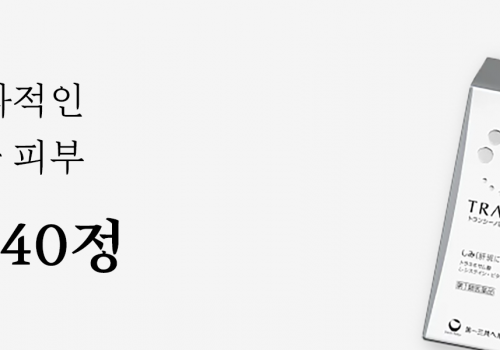 트란시노이벤트페이지 배너