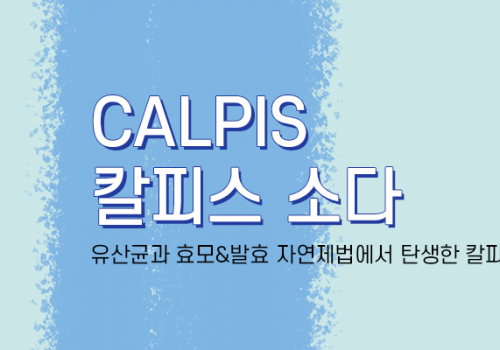 카테고리배너_칼피스소다