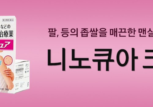 카테고리배너-고바야시-니노큐아 