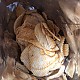 https://nppip.com/data/editor/2604/thumb-20260409090819_b95161fa83f5c_80x80.jpg