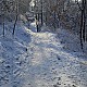 https://nppip.com/data/editor/2604/thumb-20260410115801_43c7ab9b79a33_80x80.jpg