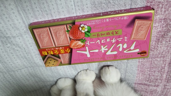 리뷰이미지1