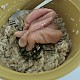 https://nppip.com/data/editor/2604/thumb-20260410124458_35b1bf45017c1_80x80.jpg