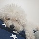 https://nppip.com/data/editor/2604/thumb-20260410124553_ccbe2039b3586_80x80.jpg