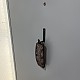 https://nppip.com/data/editor/2604/thumb-20260410170651_1b8ffd4d14599_80x80.jpg