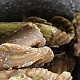 https://nppip.com/data/editor/2605/thumb-20260506040117_29d0f06e3fb47_80x80.jpg