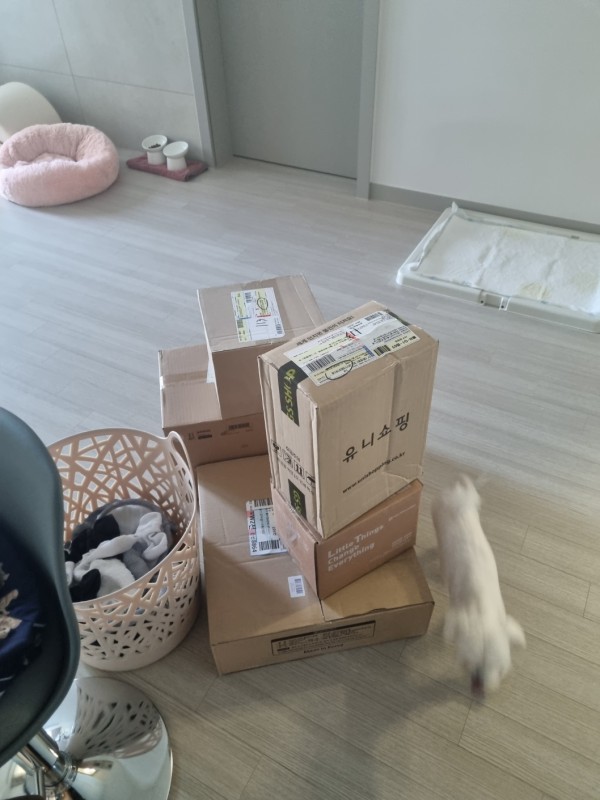 리뷰이미지1