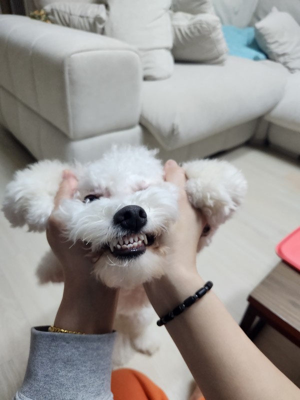 리뷰이미지1