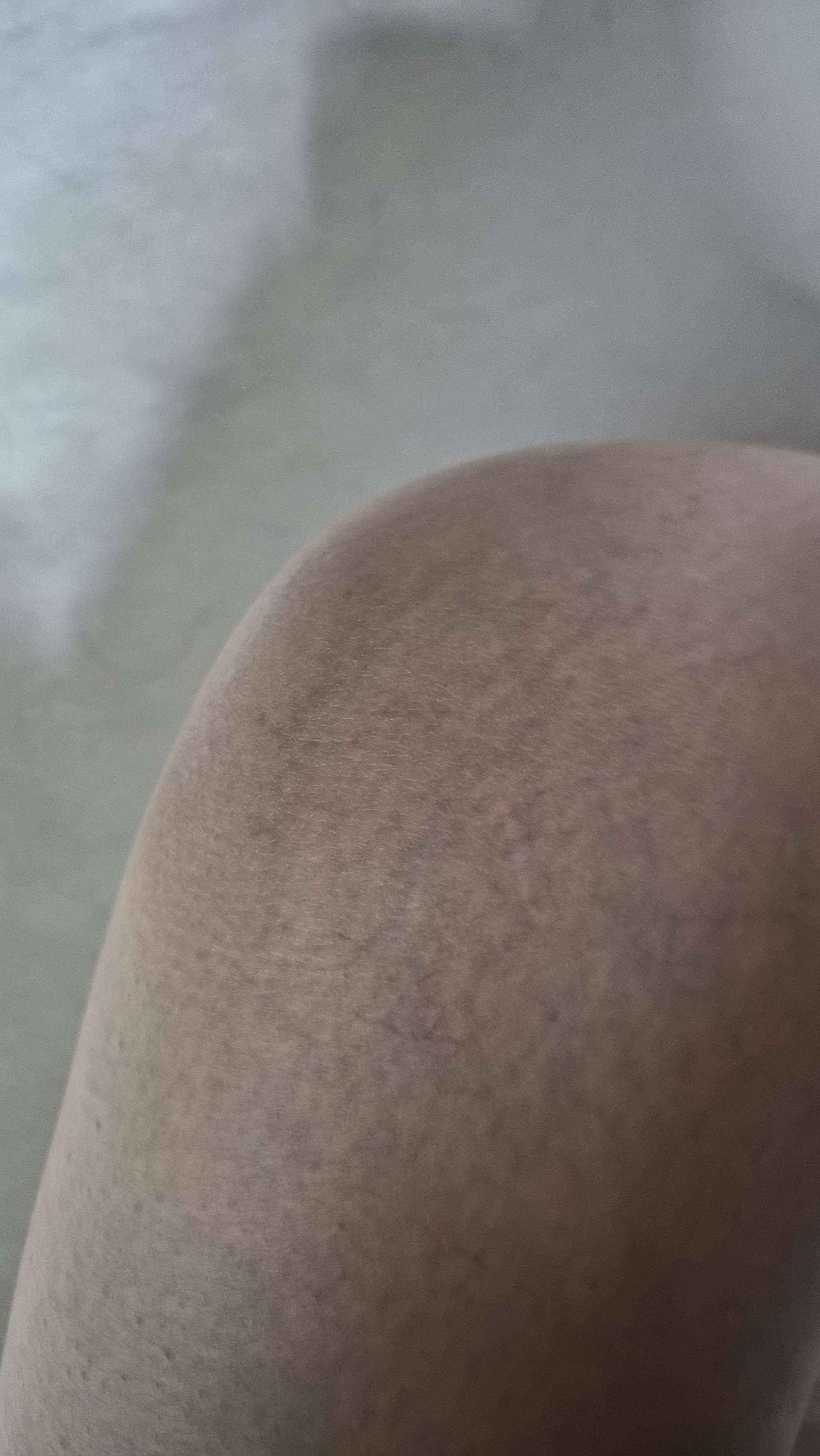 리뷰이미지