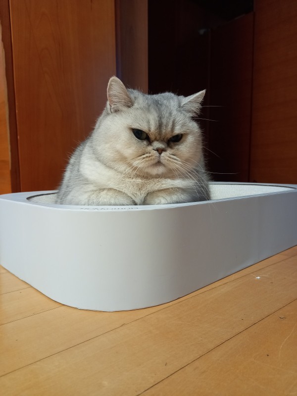 리뷰이미지1