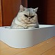 https://nppip.com/data/editor/2607/thumb-20260707124013_035897f032e9a_80x80.jpg