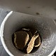 https://nppip.com/data/editor/2607/thumb-20260711040118_58e679807ad9f_80x80.jpg