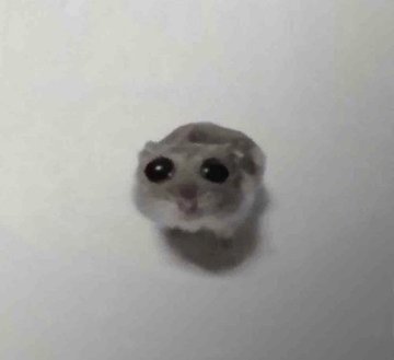 리뷰이미지