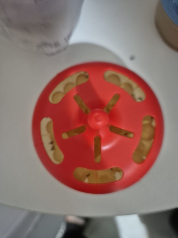 리뷰이미지