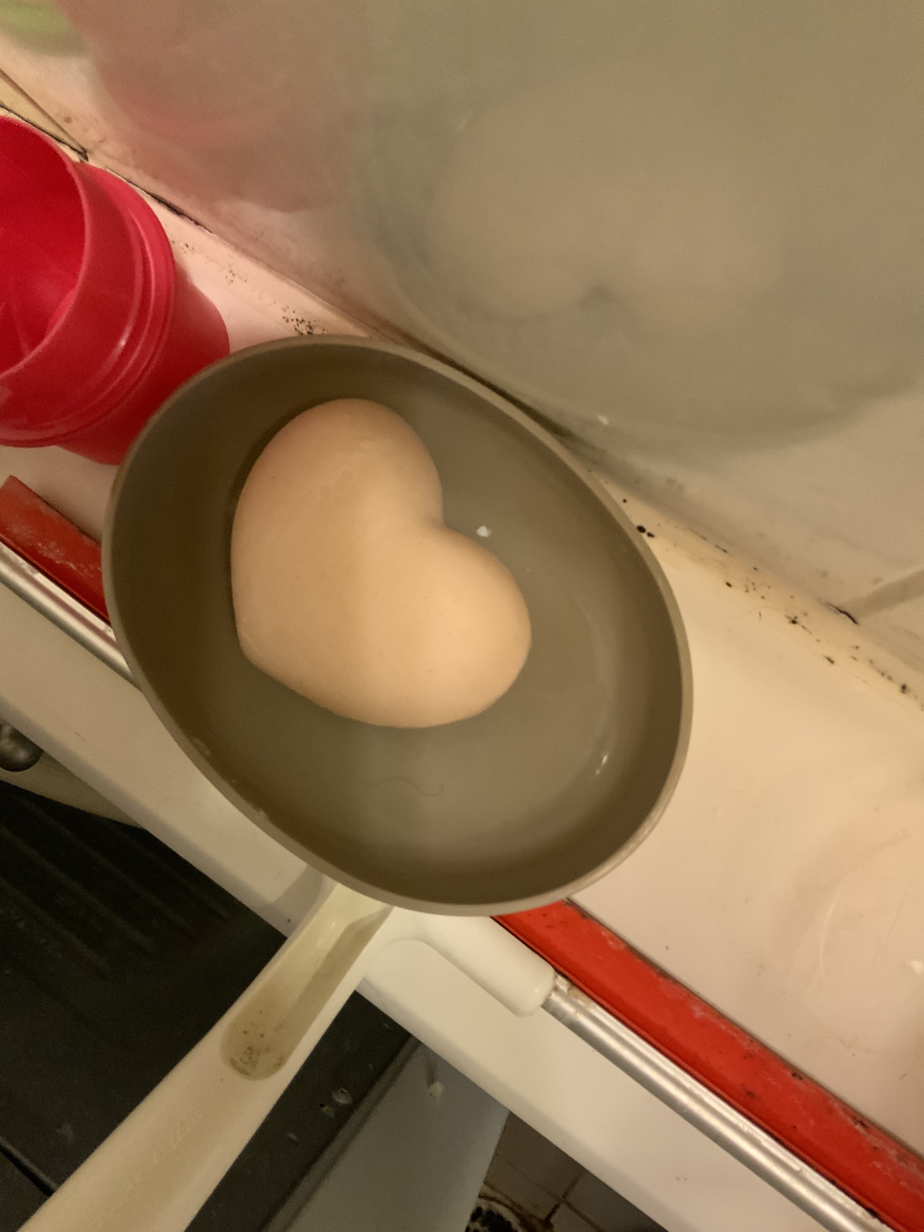 리뷰이미지