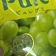 https://nppip.com/data/editor/2610/thumb-20261002040132_c3ca969725b50_80x80.jpg