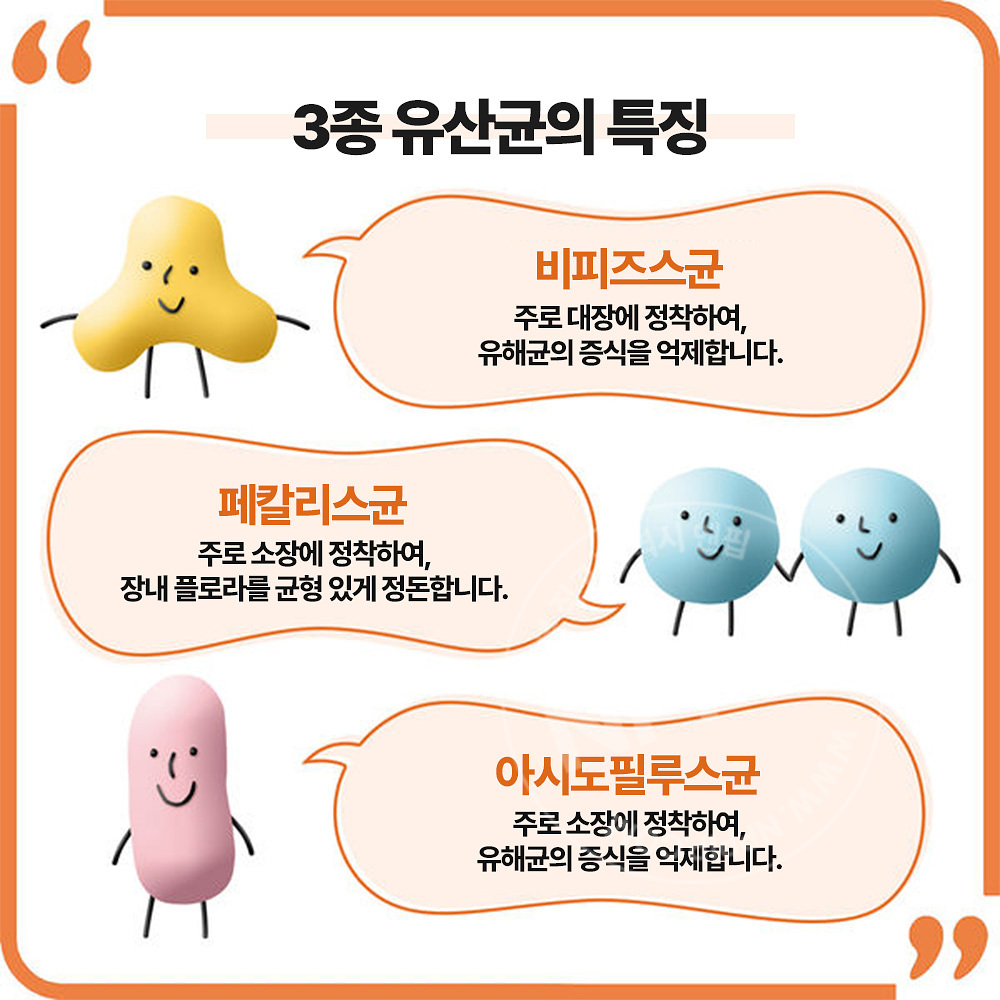 신비오페르민S 130정 유산균 변비 해결