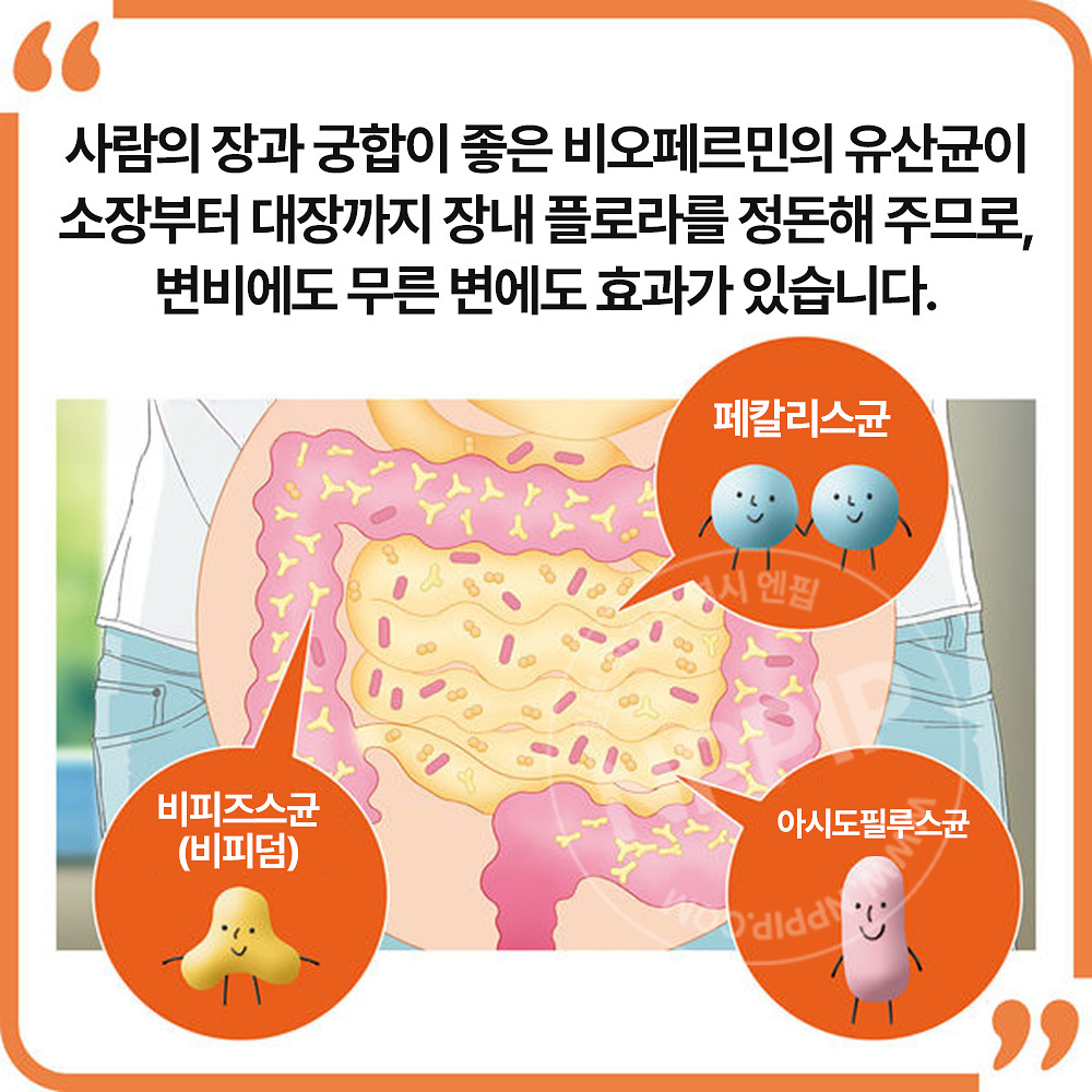신비오페르민S 130정 유산균 변비 해결