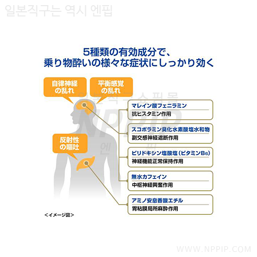 아네론 니스캡 10캡슐 (먹는 일본 멀미약 추천/성분/이유/가격/종류/시간)