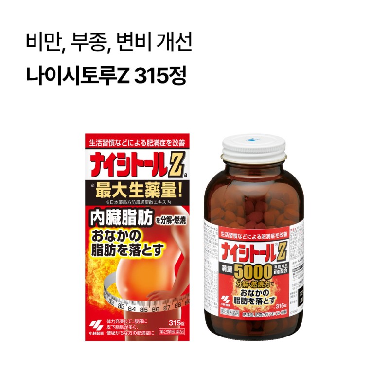 나이시토루Z 315정