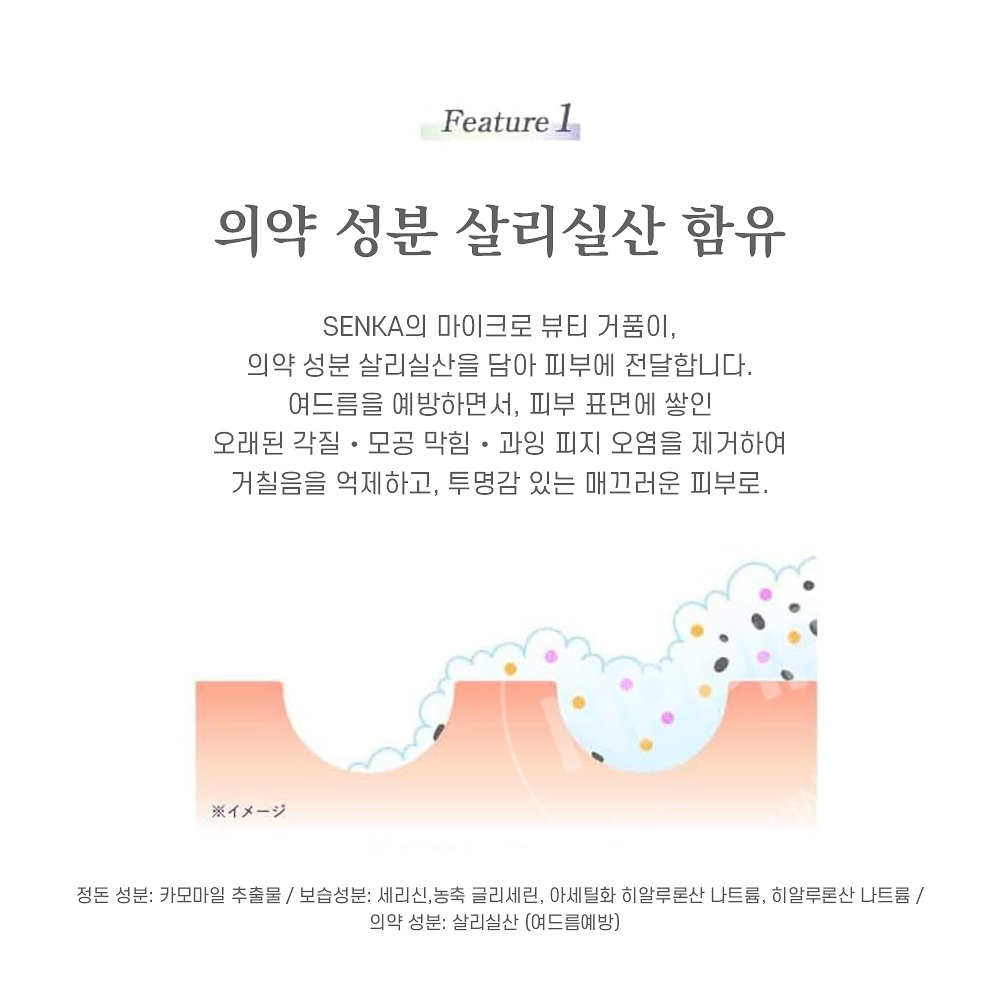 센카 퍼펙트 화이트 클레이 120g