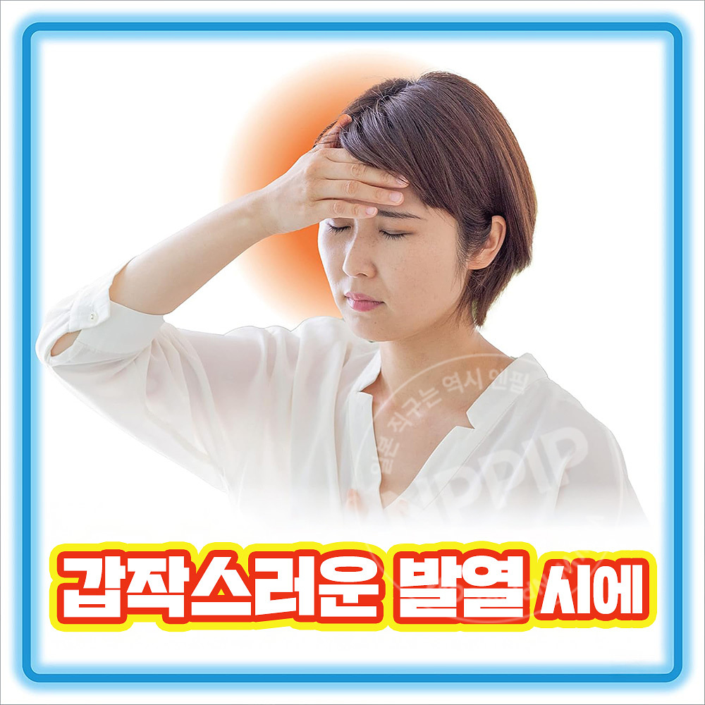 고바야시 네츠사마 이마 해열 시트 어른용 16매입