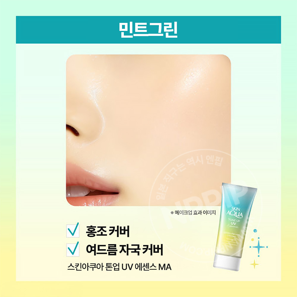 로토제약 스킨 아쿠아 톤 업 UV 에센스 민트 그린 80g