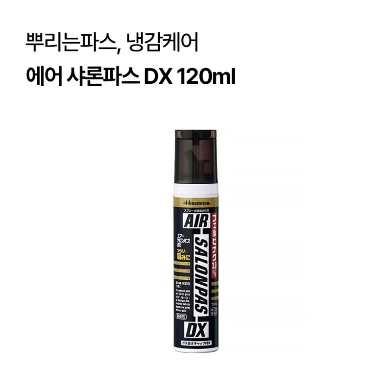 에어 샤론파스 DX 120ml