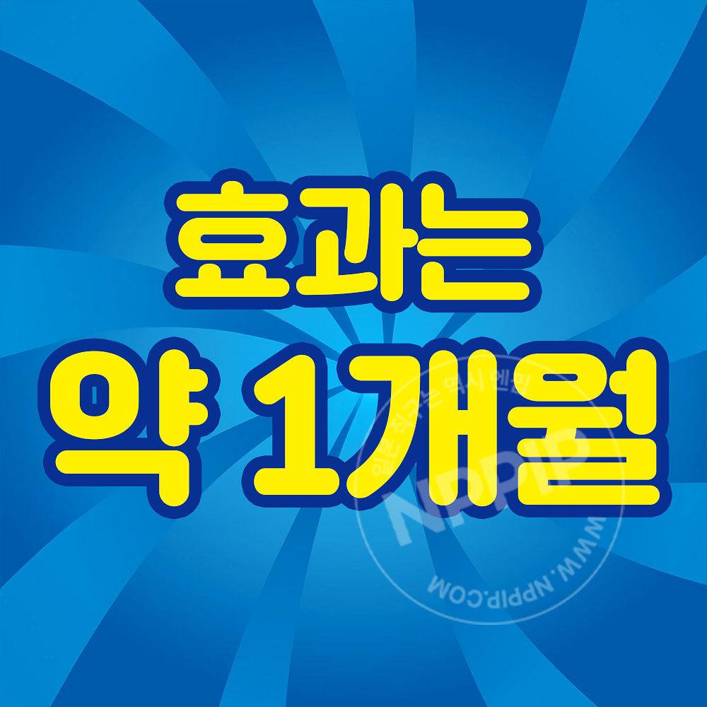 [킨쵸]파리 퇴치기 걸이형