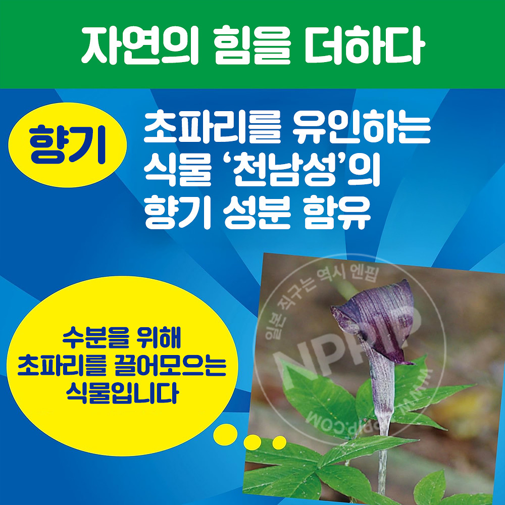 [킨쵸]파리 퇴치기 걸이형