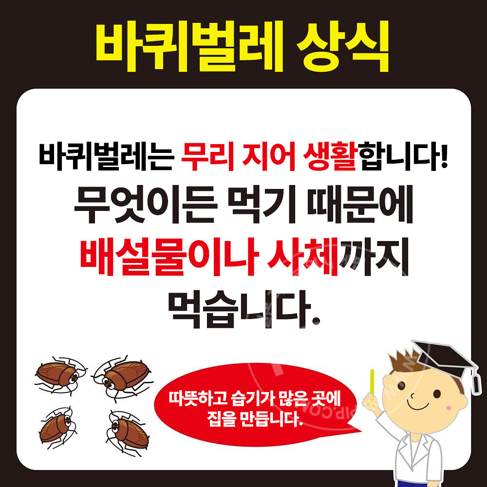 킨쵸 바퀴벌레 퇴치 컴뱃 현관·베란다용 1년용 6개입