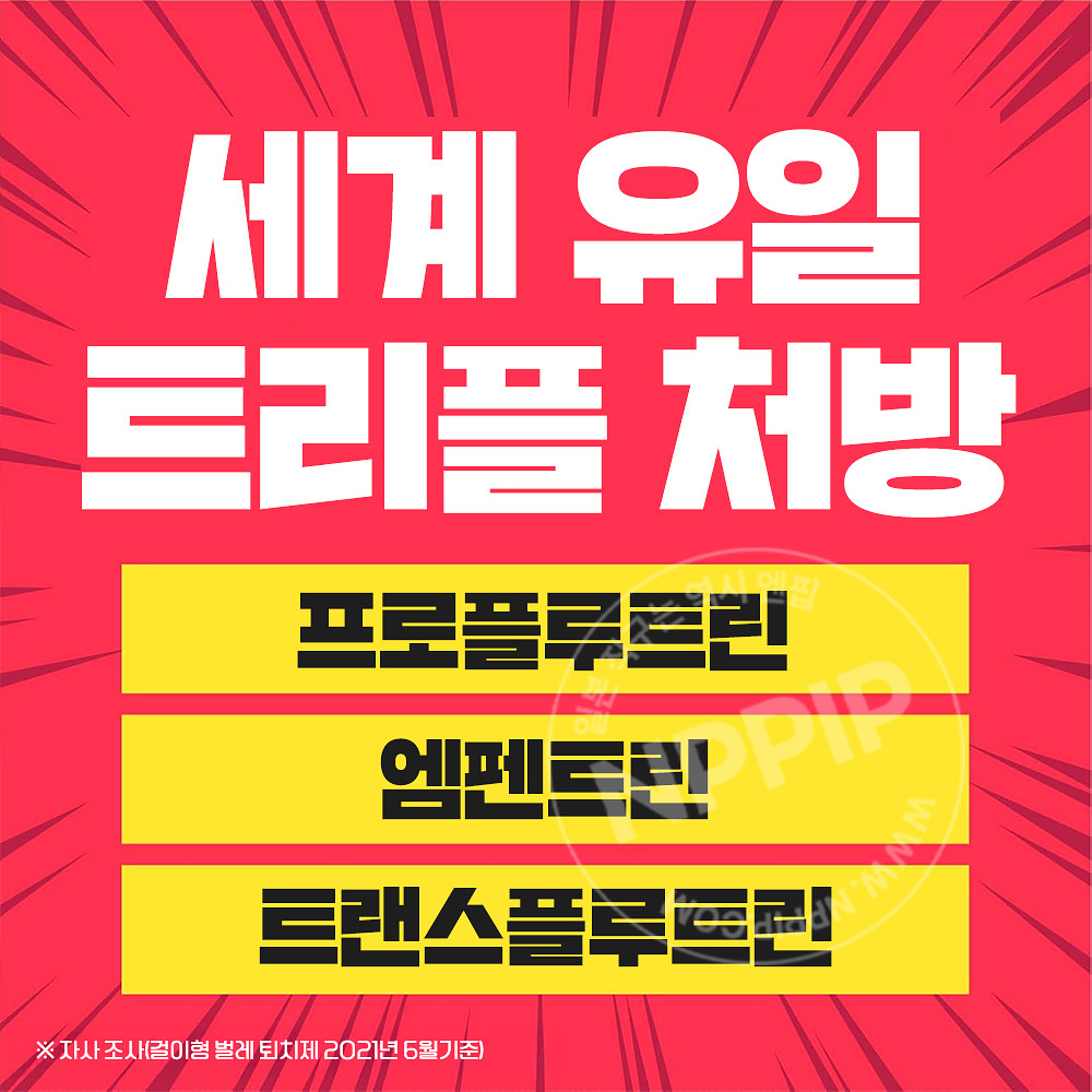 [아스제약]아스 벌레 방충망 EX 창문용 260일용