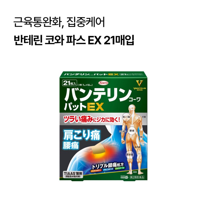 반테린 코와 파스 EX 21매입