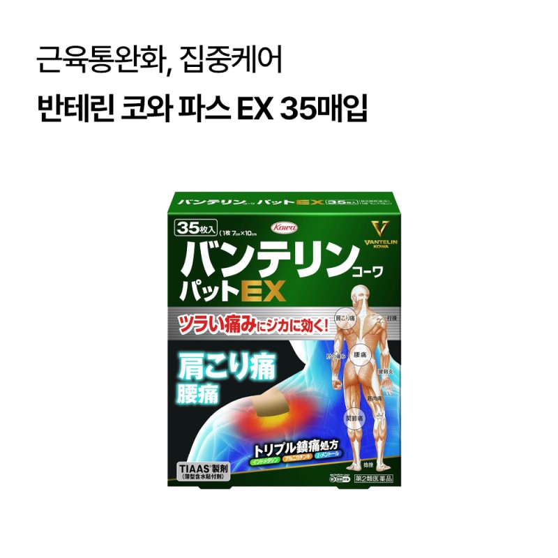 반테린 코와 파스 EX 35매입