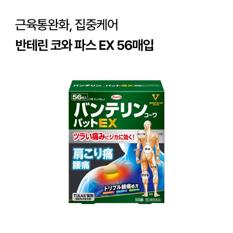 반테린 코와 파스 EX 56매입