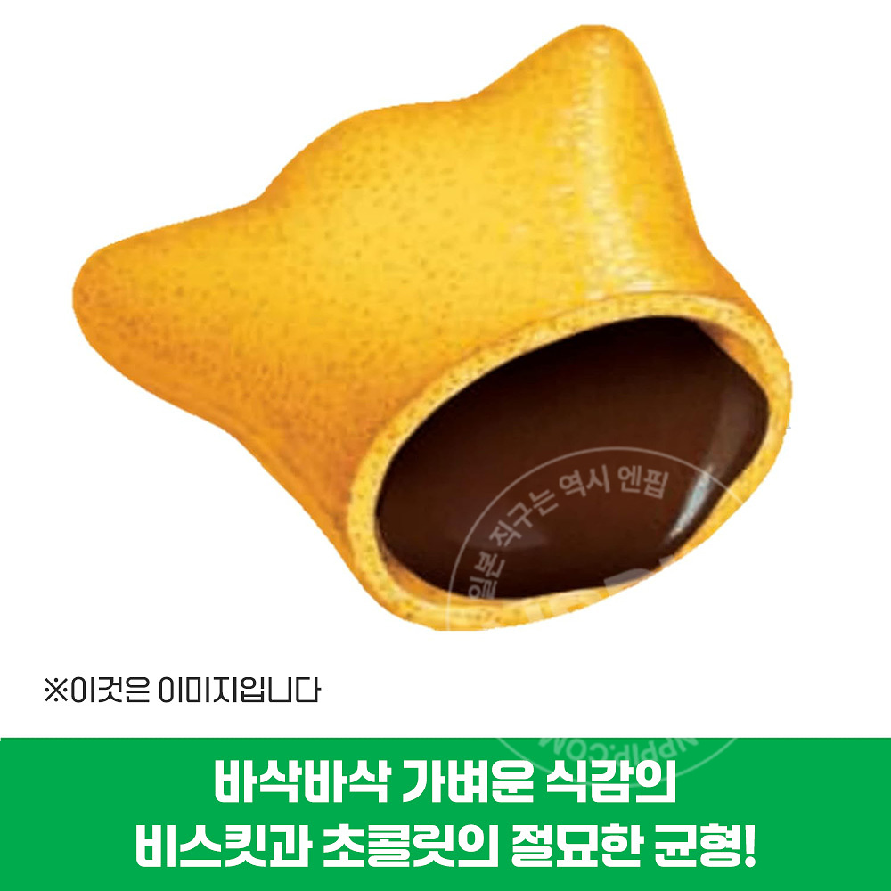 롯데 코알라노마치 초코 48g