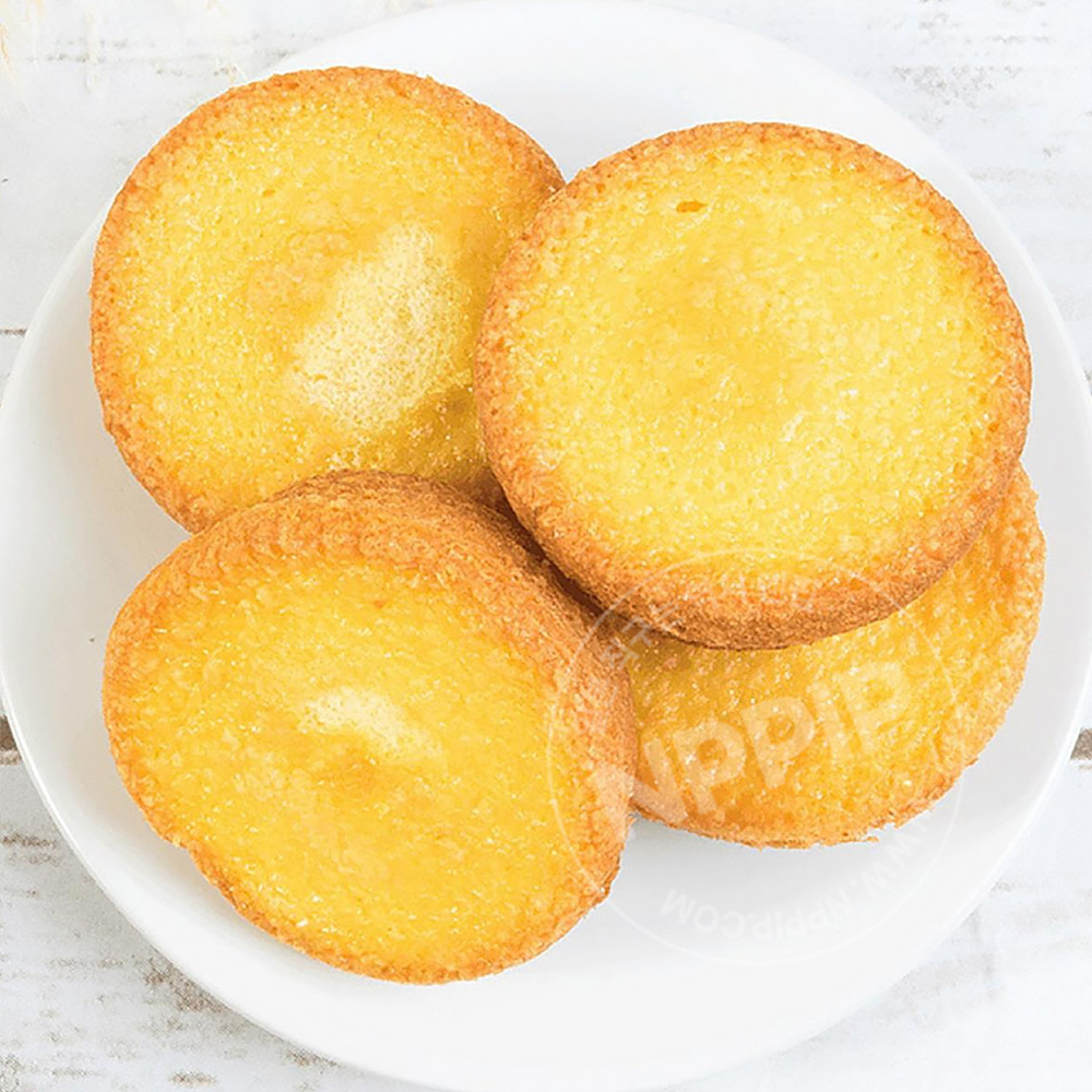 카스타드 케이크 파티 팩 9개입