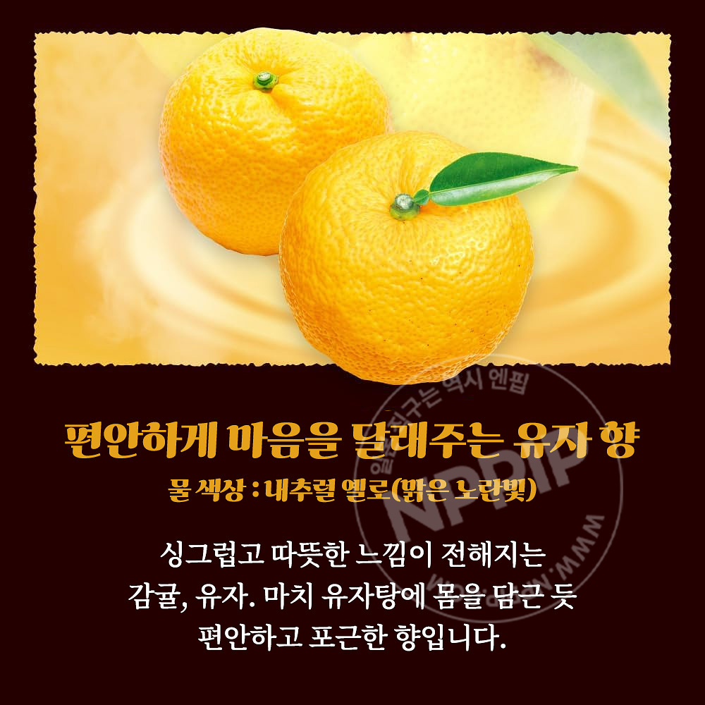 바브 지복의 감귤에 둘러싸인 목욕 12정입 입욕제