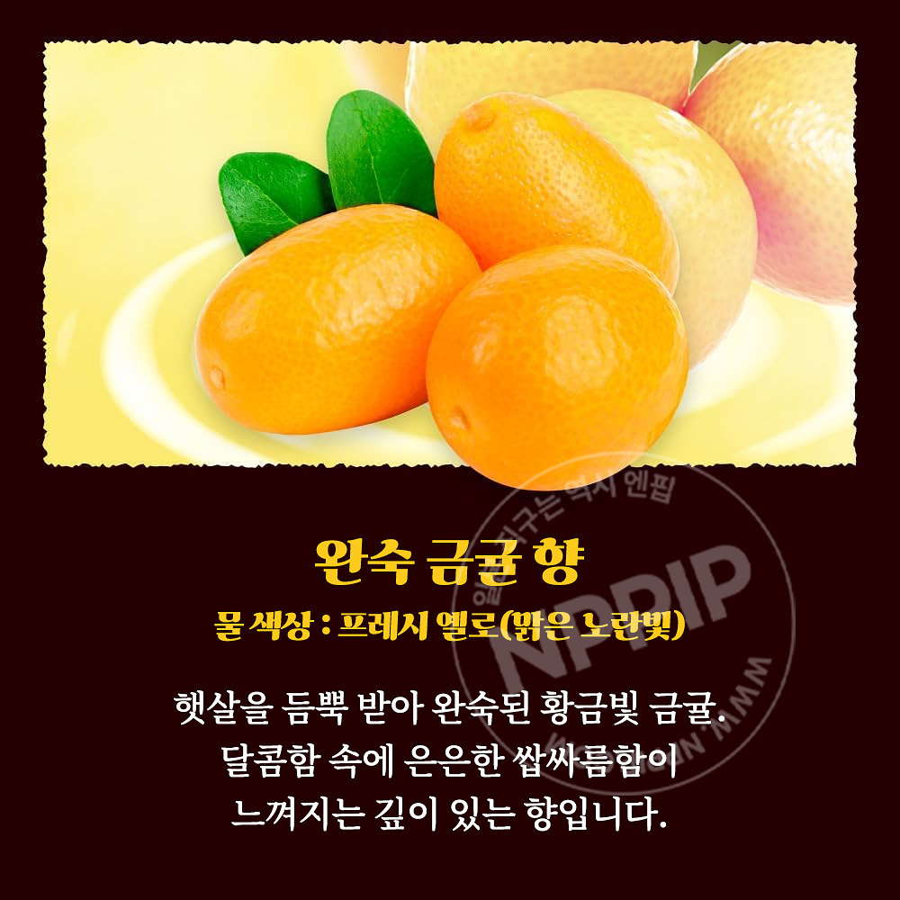 바브 지복의 감귤에 둘러싸인 목욕 12정입 입욕제