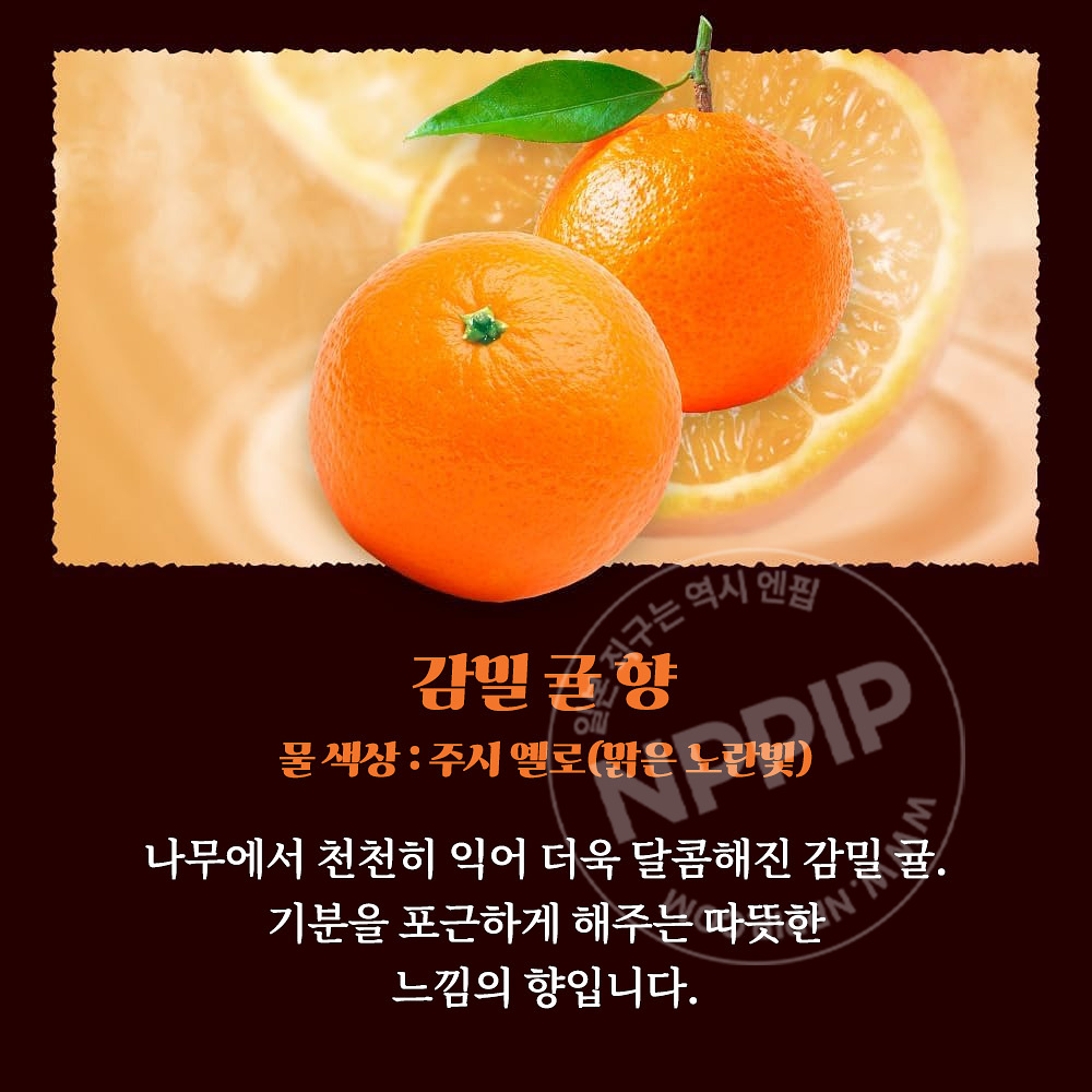 바브 지복의 감귤에 둘러싸인 목욕 12정입 입욕제