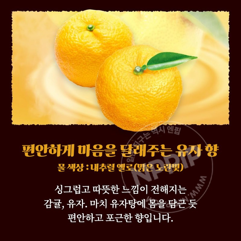 바브 지복의 감귤에 둘러싸인 목욕 12정입 입욕제