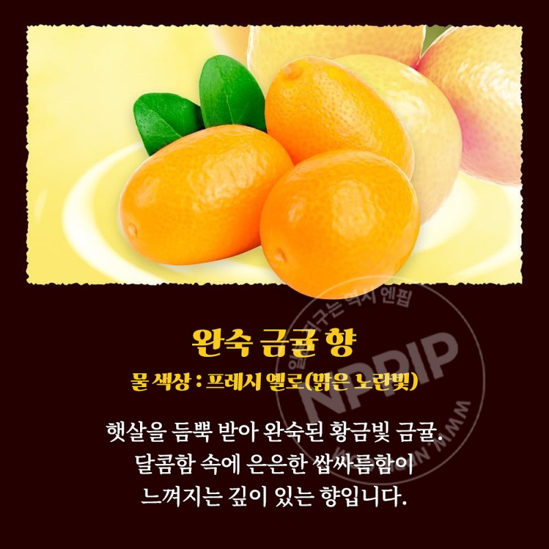 바브 지복의 감귤에 둘러싸인 목욕 12정입 입욕제
