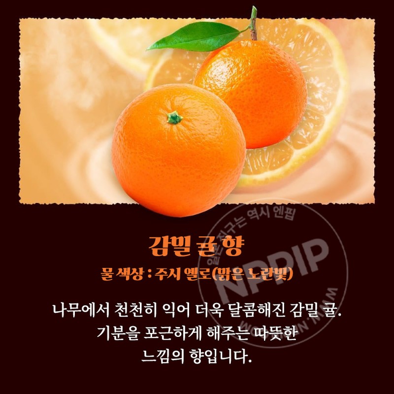 바브 지복의 감귤에 둘러싸인 목욕 12정입 입욕제