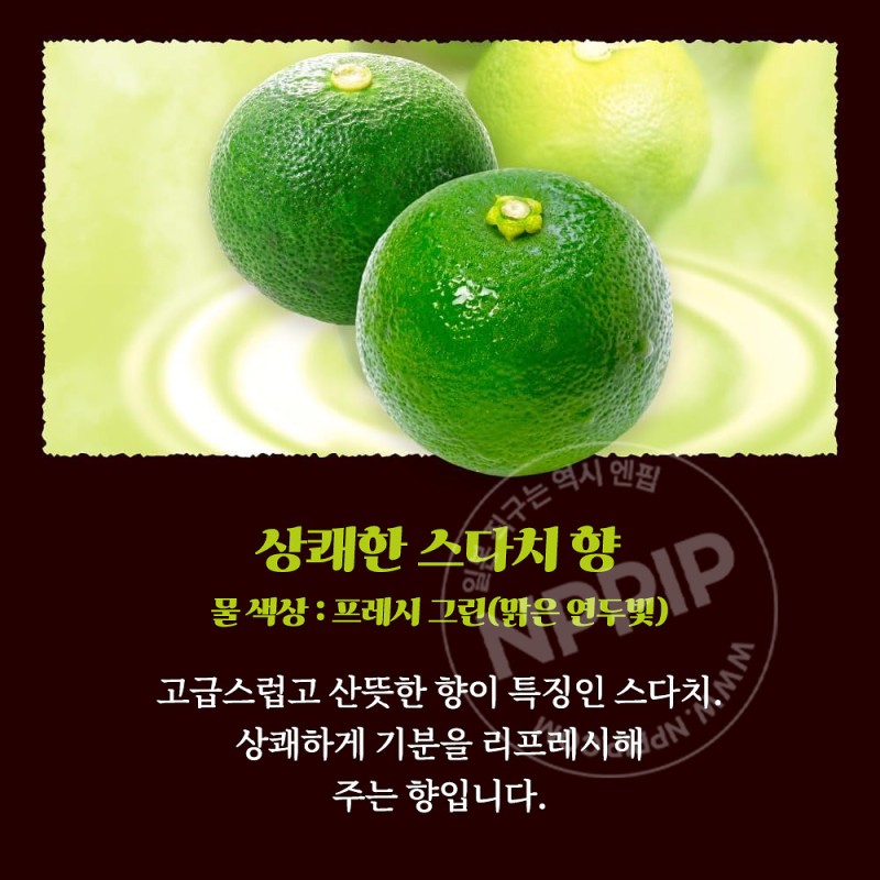 바브 지복의 감귤에 둘러싸인 목욕 12정입 입욕제