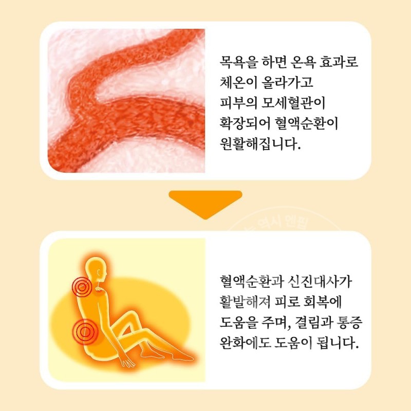 바브 지복의 감귤에 둘러싸인 목욕 12정입 입욕제