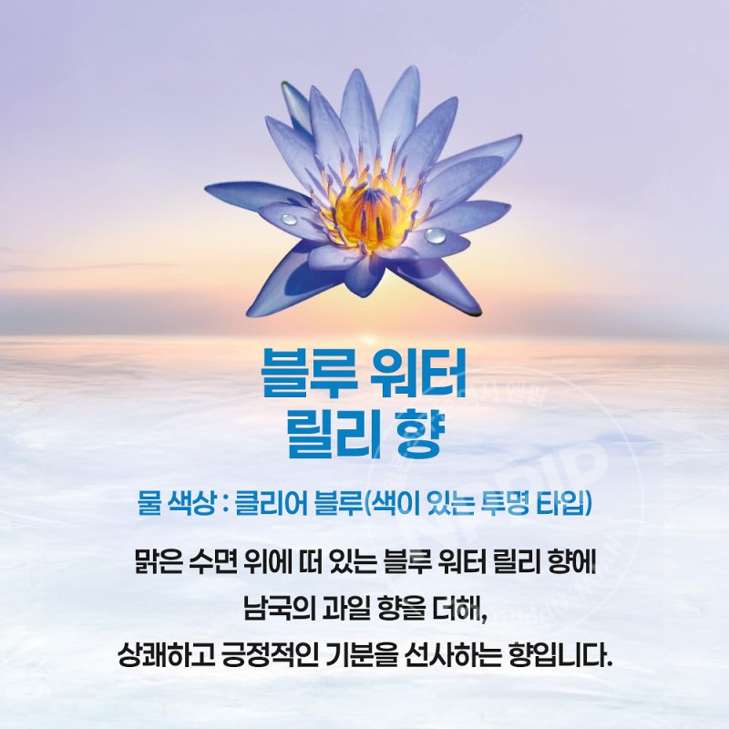 바브 쿨 오리엔탈스파 12정입 탄산 입욕제