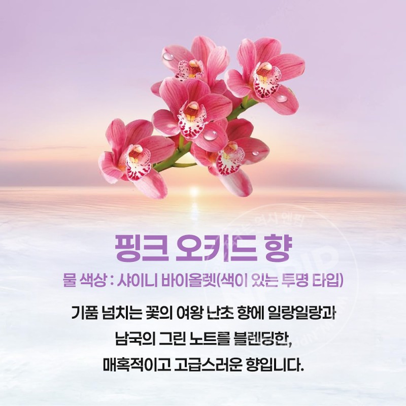바브 쿨 오리엔탈스파 12정입 탄산 입욕제