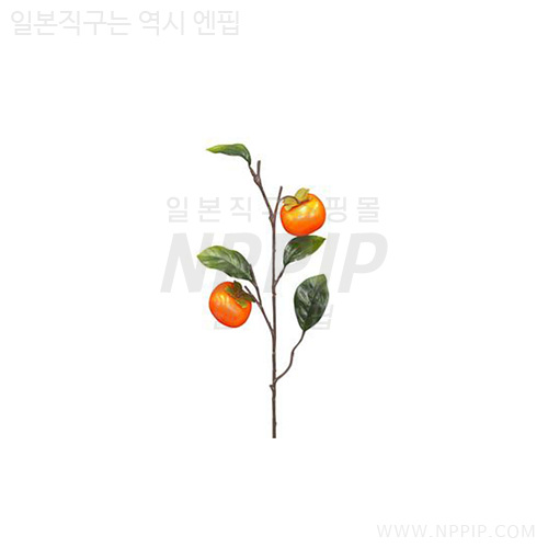 [다이소]감나무