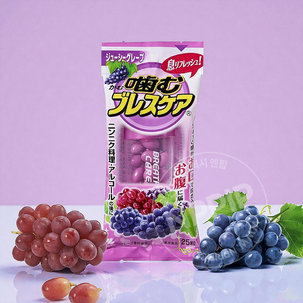 고바야시 브레스케어 모음 24종